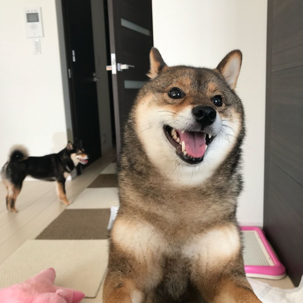 あずはな
