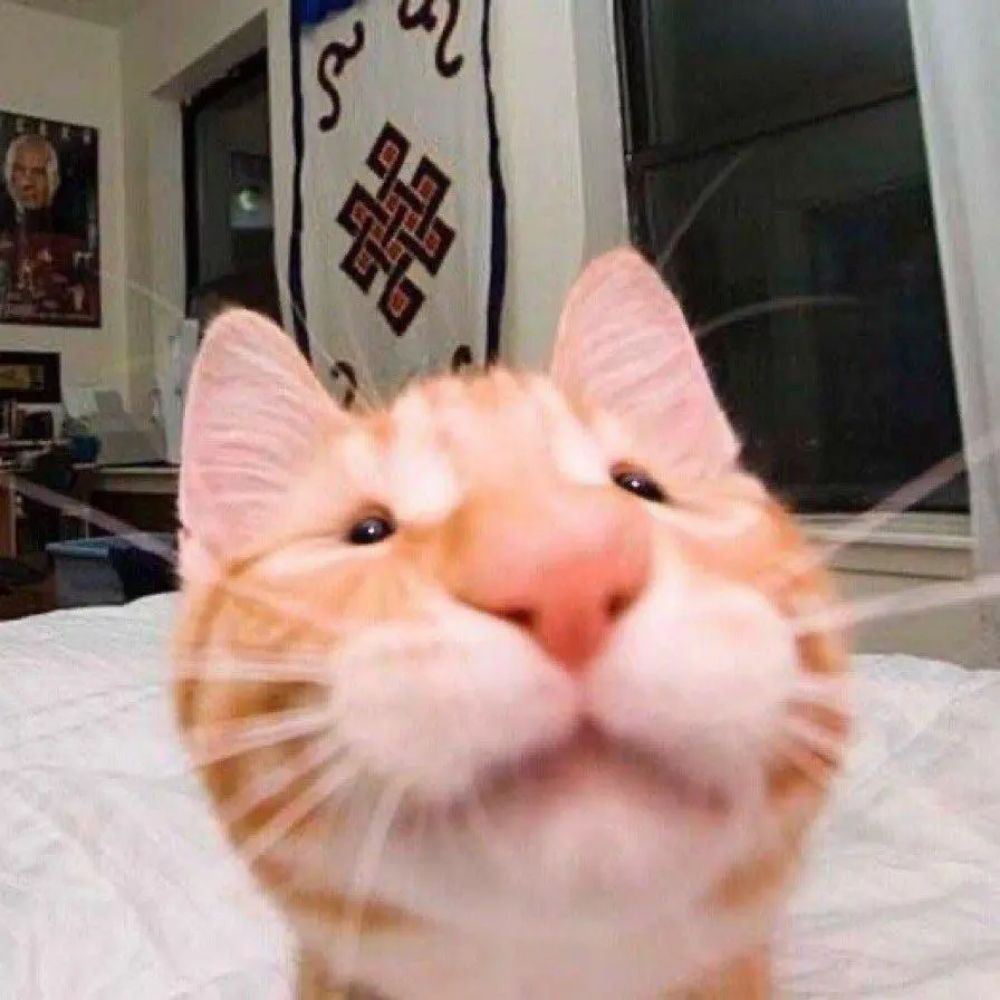 물수건