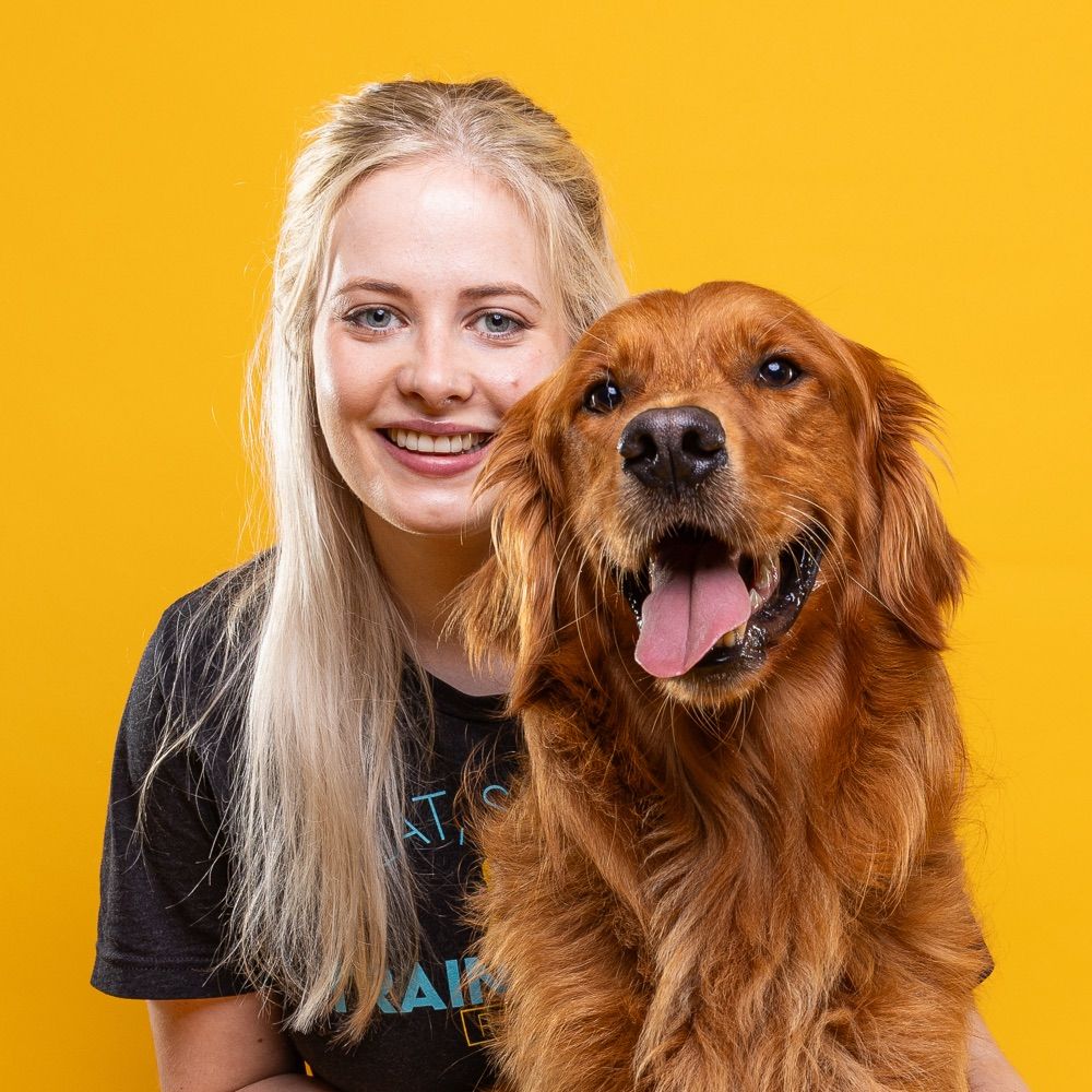 Jess | Puppy & Teen Dog Pro