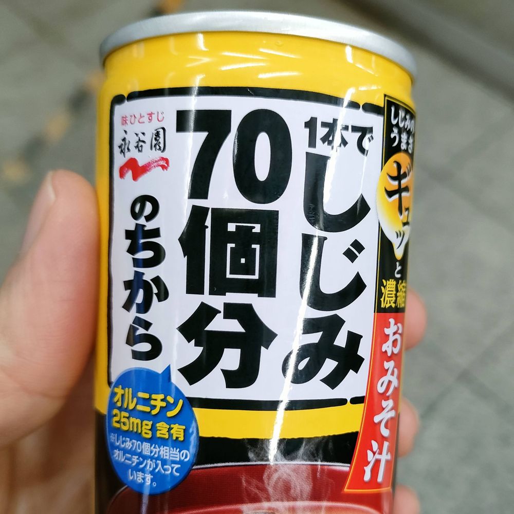 HikaruHayasaka