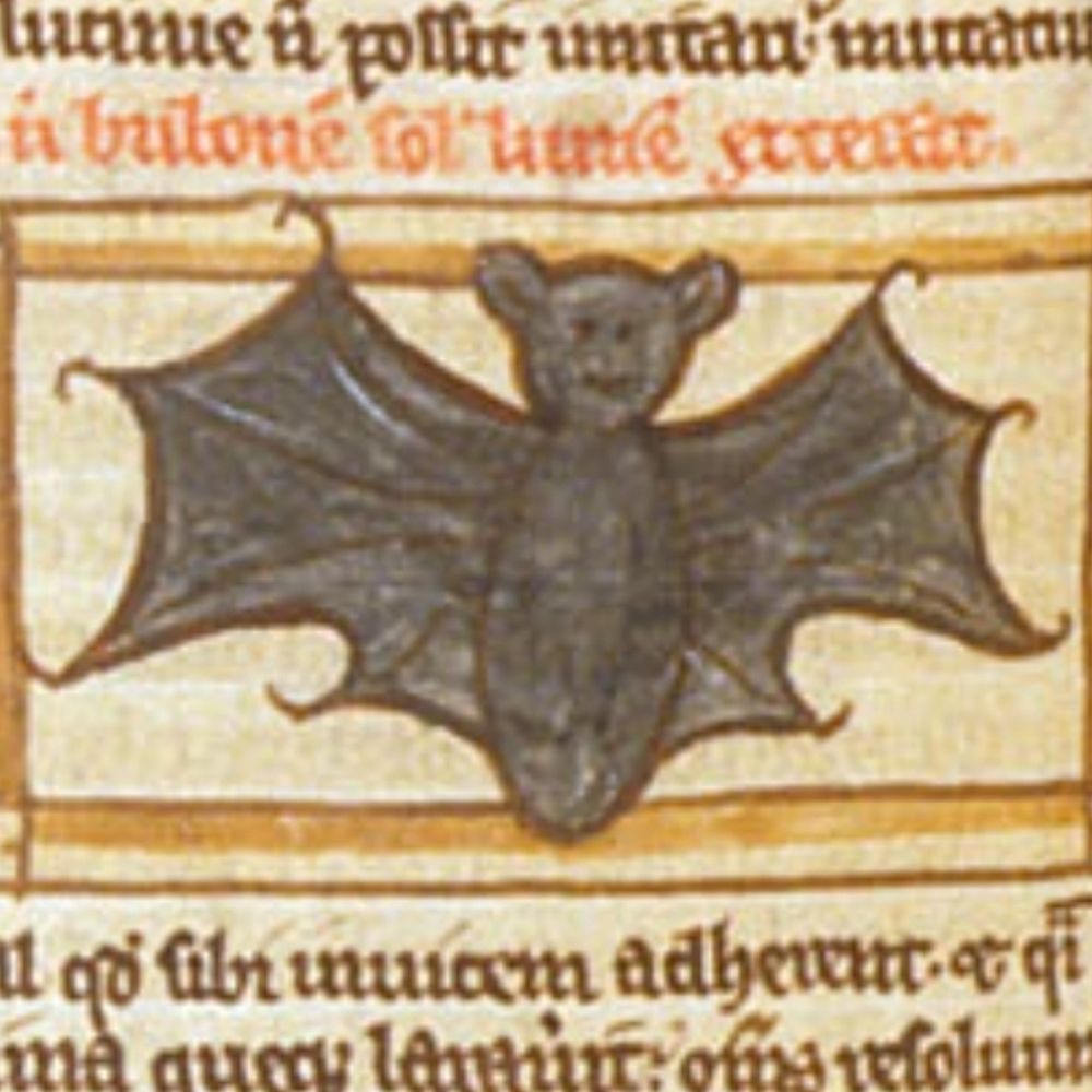 vampire hunter c