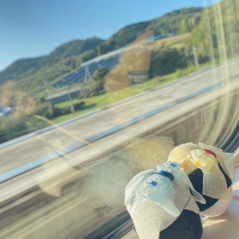 すみっこ