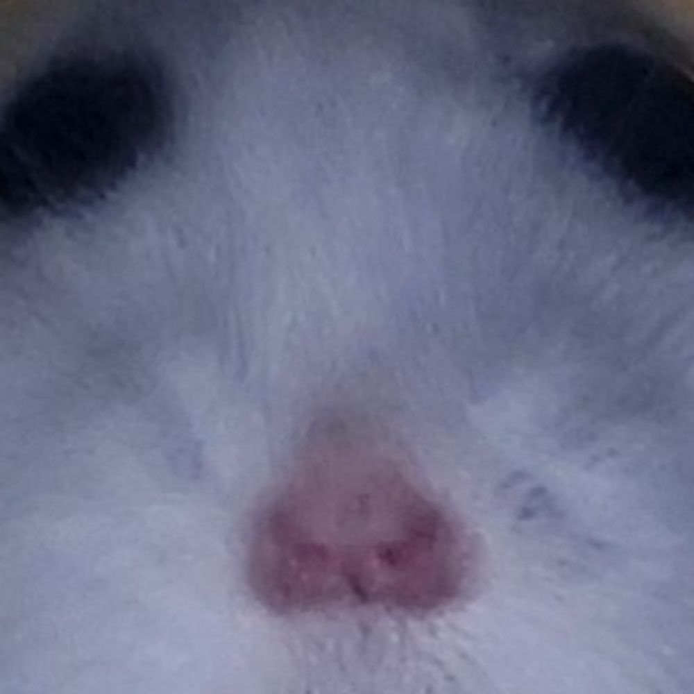 be