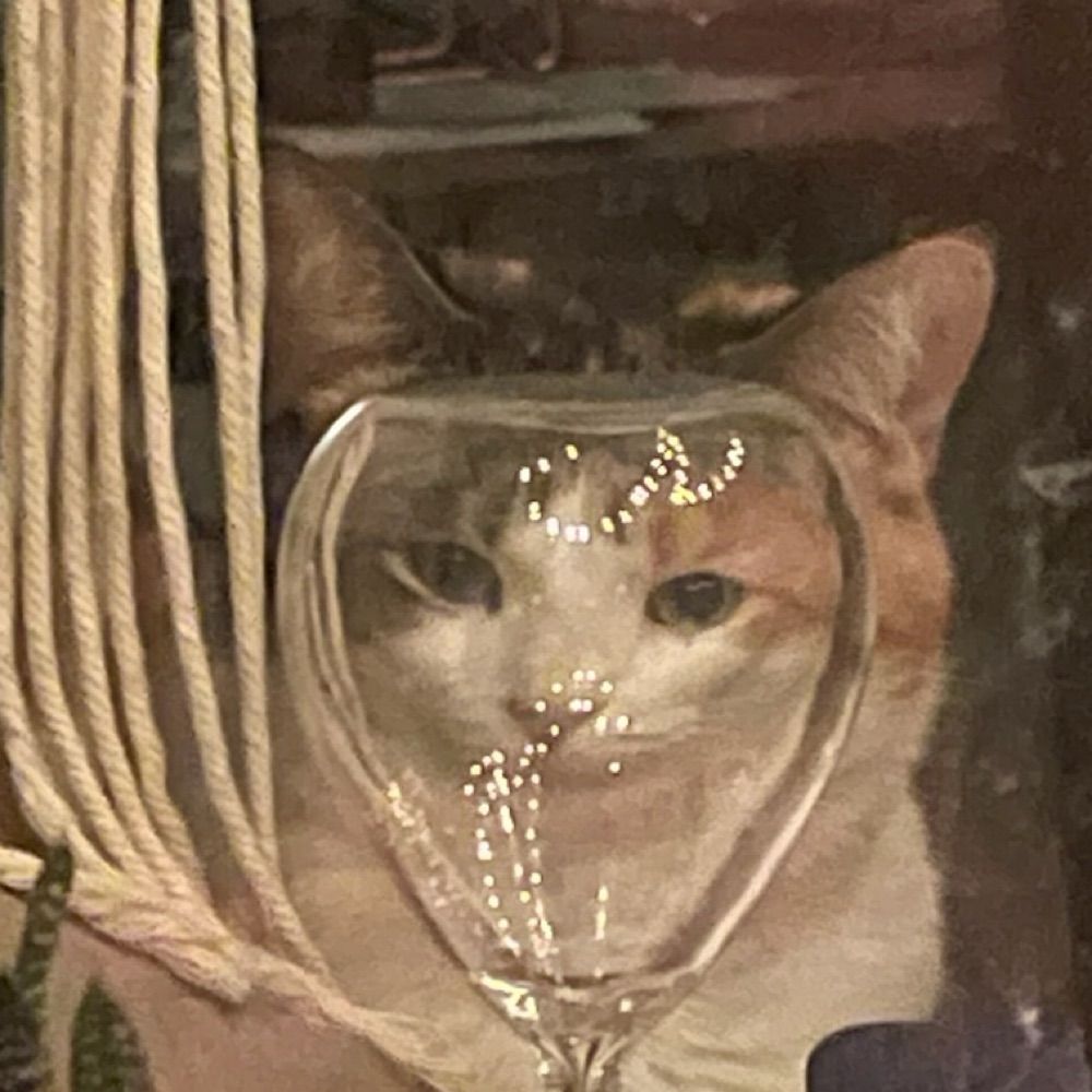 amy