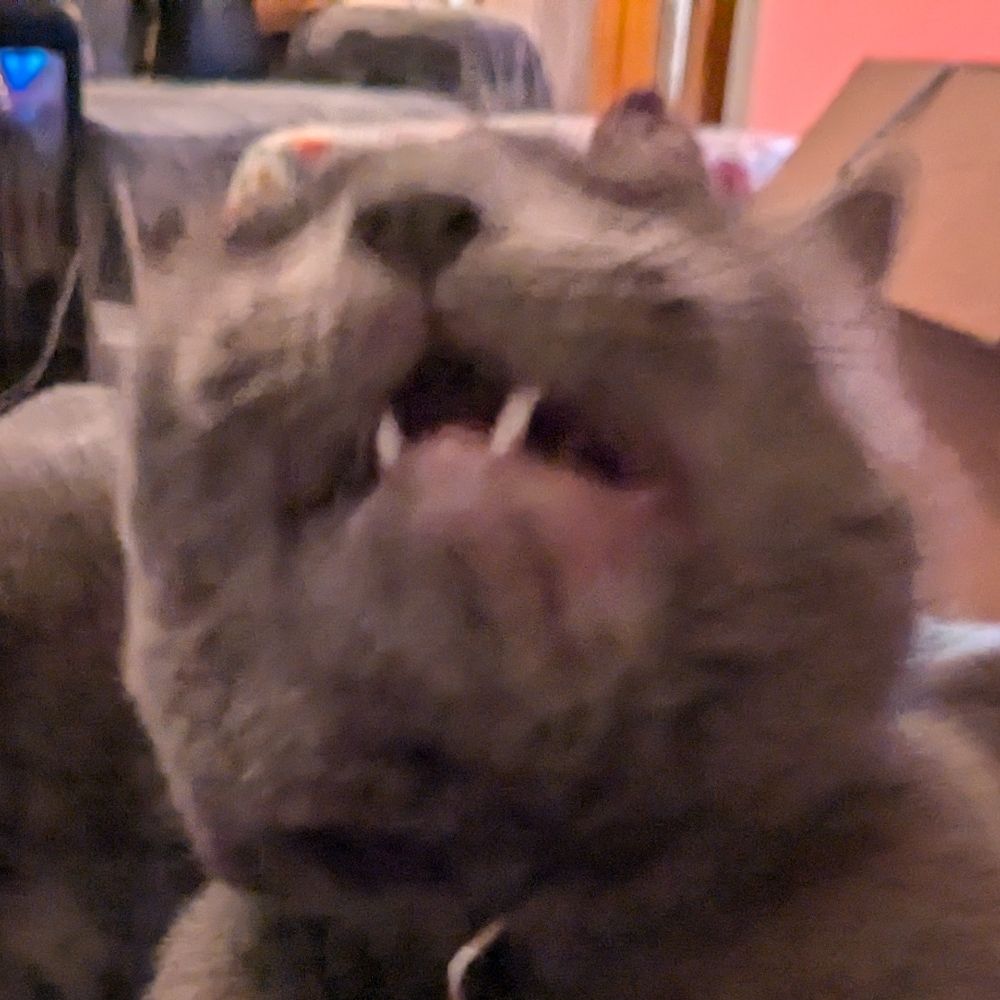 Zach
