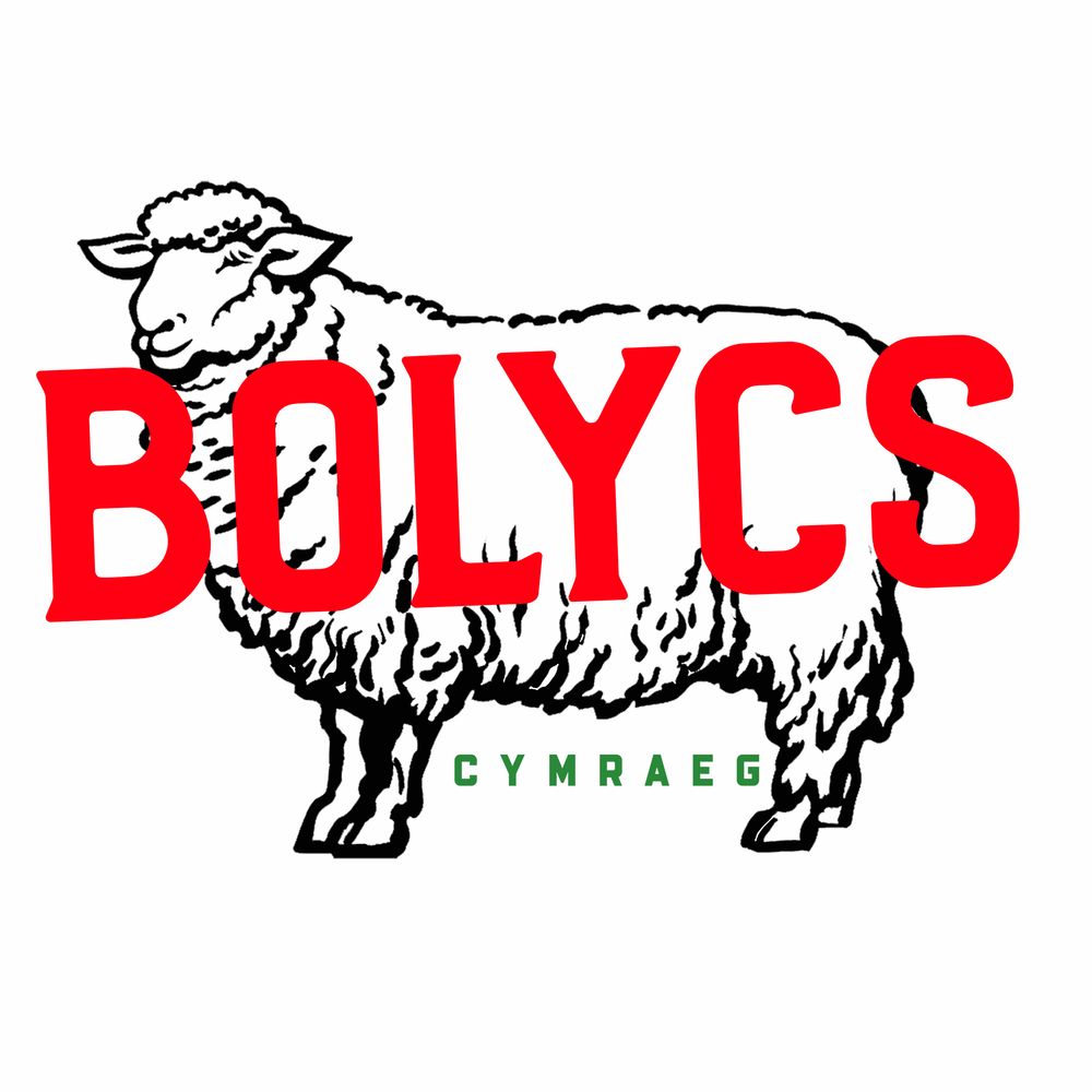 Bolycs Cymraeg