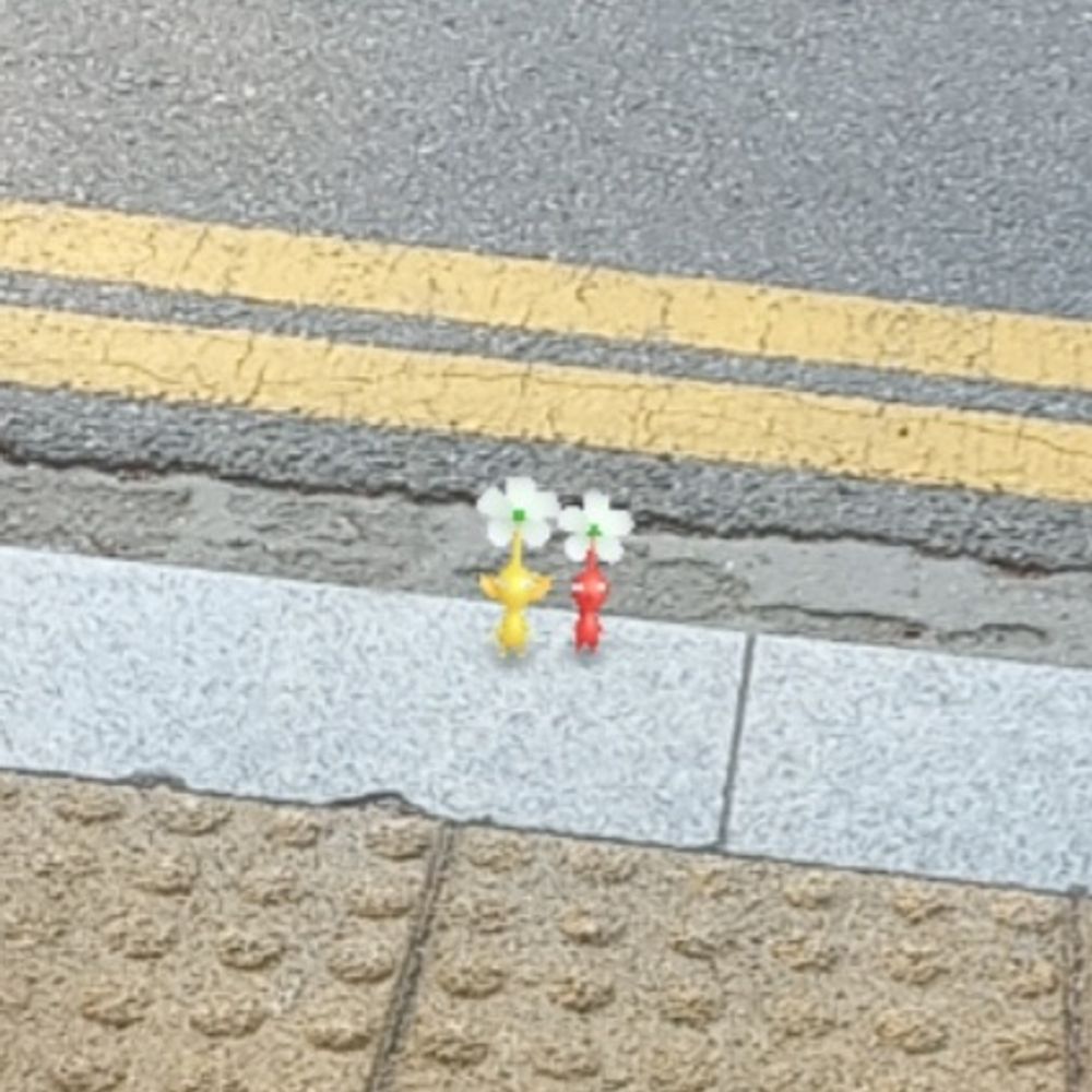 안화린