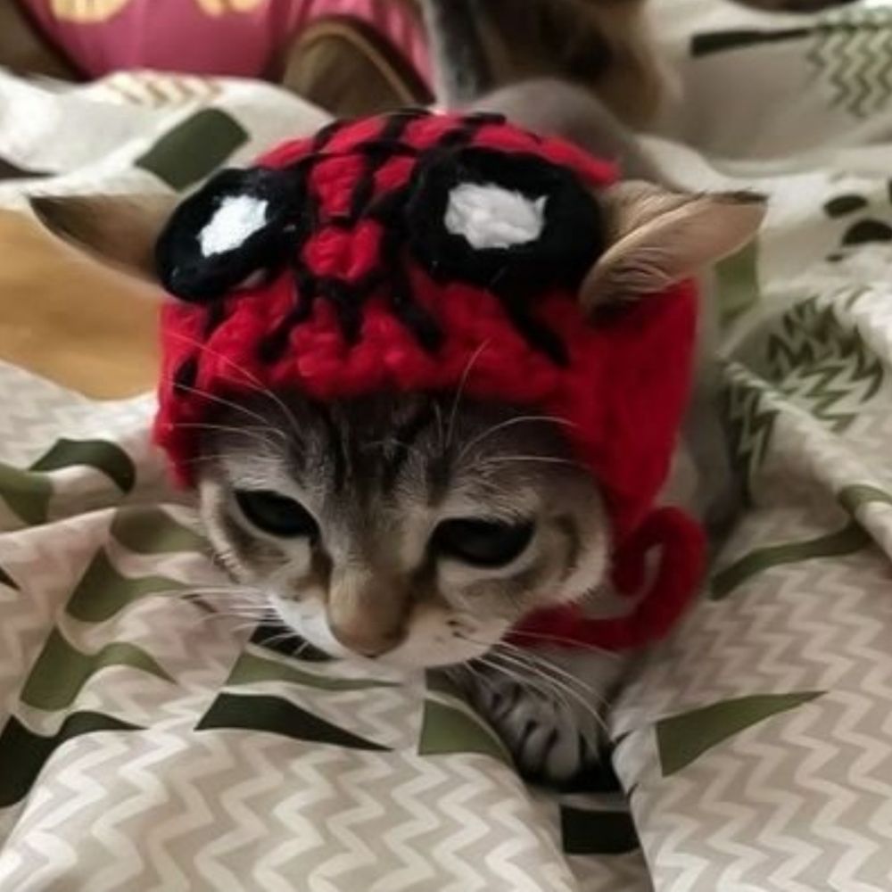 lala