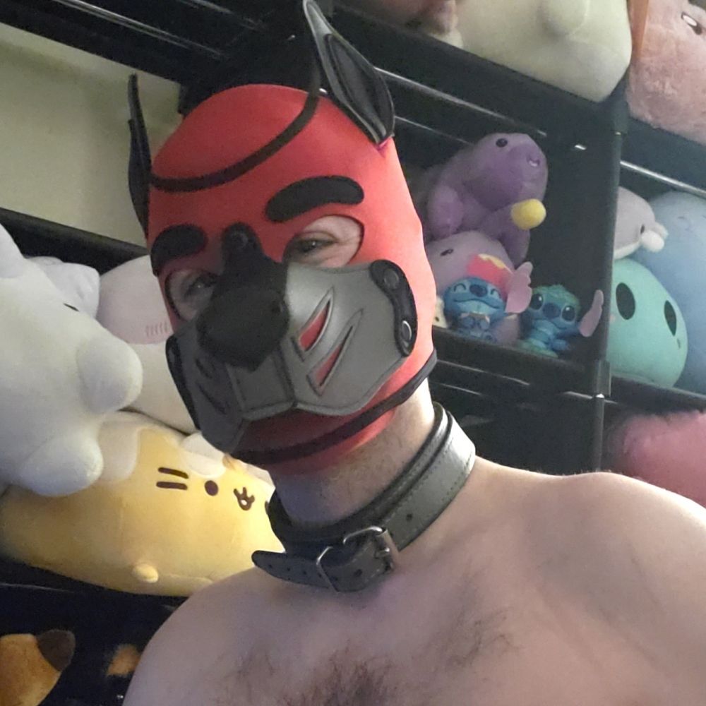 Pup Dour