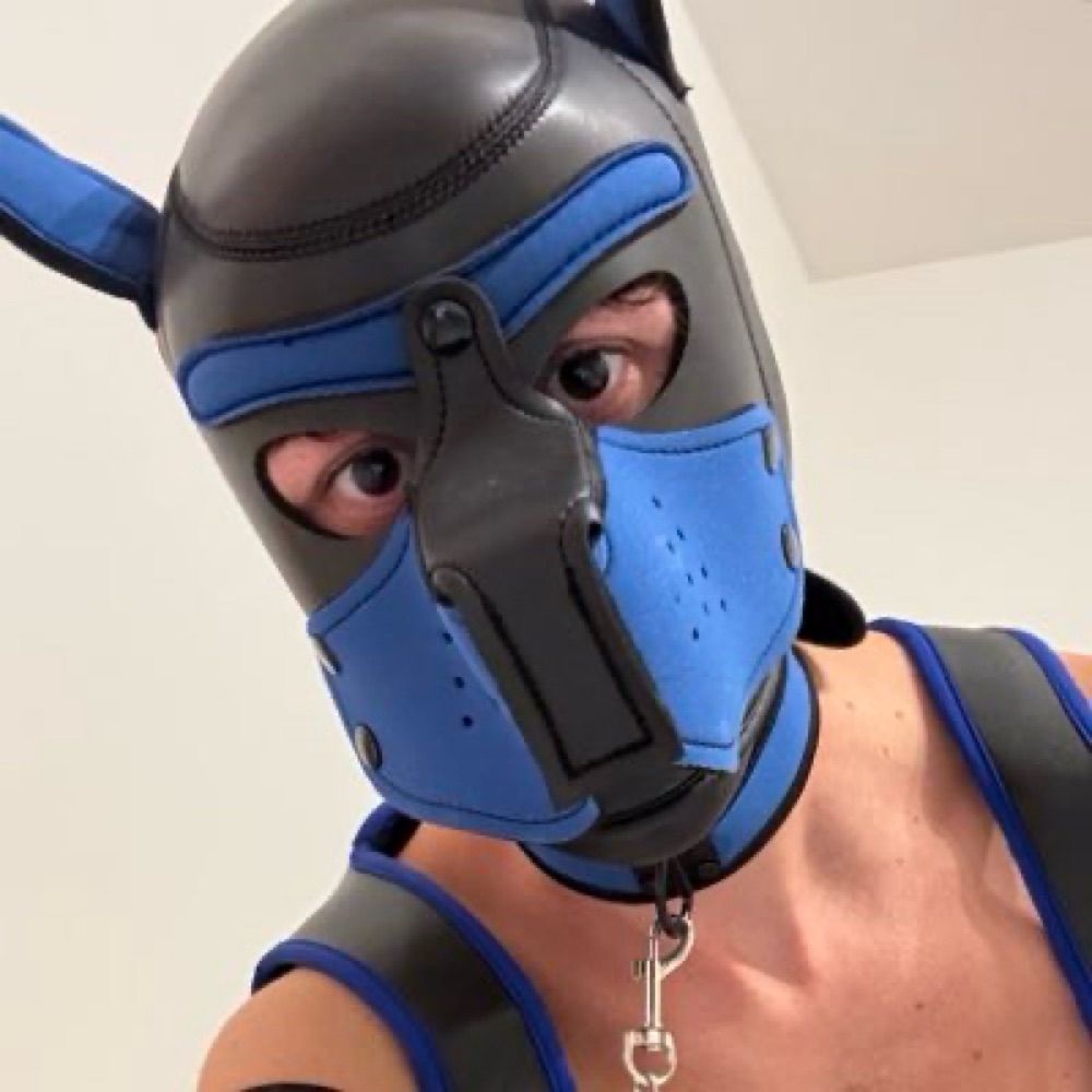 Pup Meku