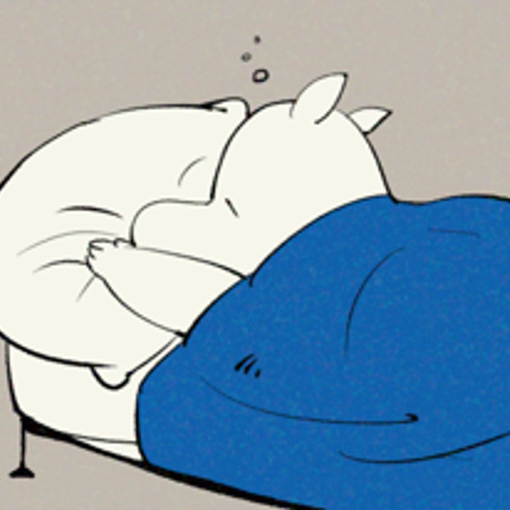 （02）