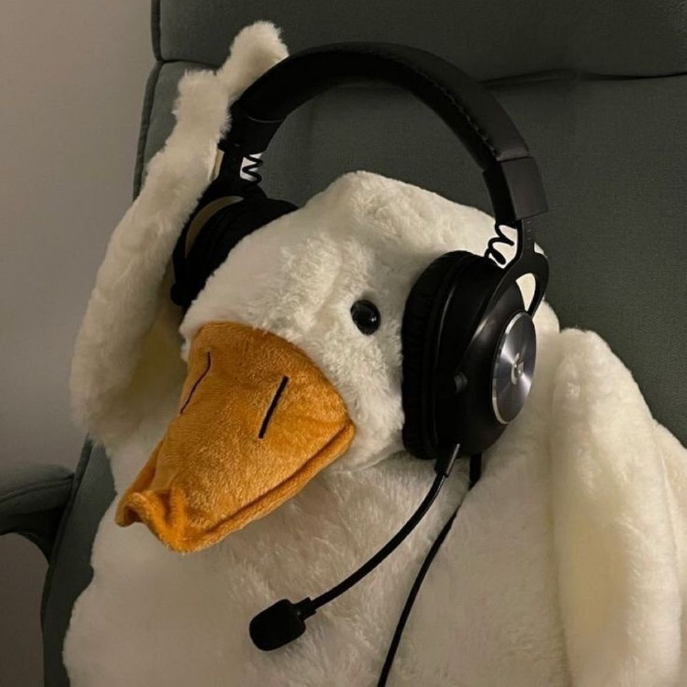 мαri D crøcs
