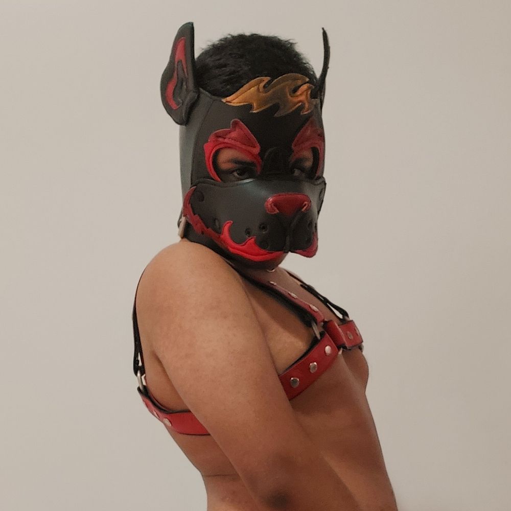 Puppy Jullius