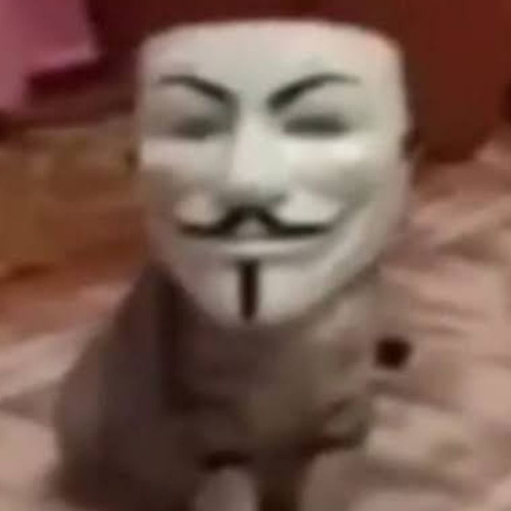 VoiX🦈