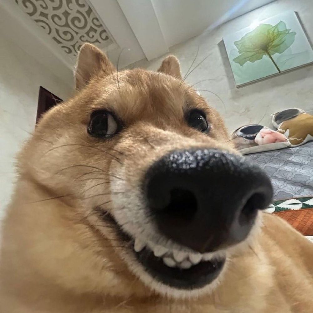 박씨부인