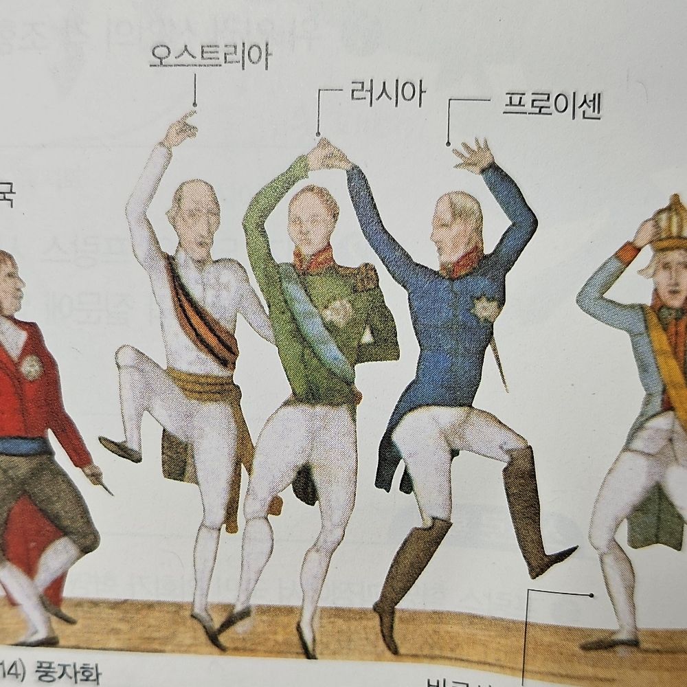 코르투스🐲