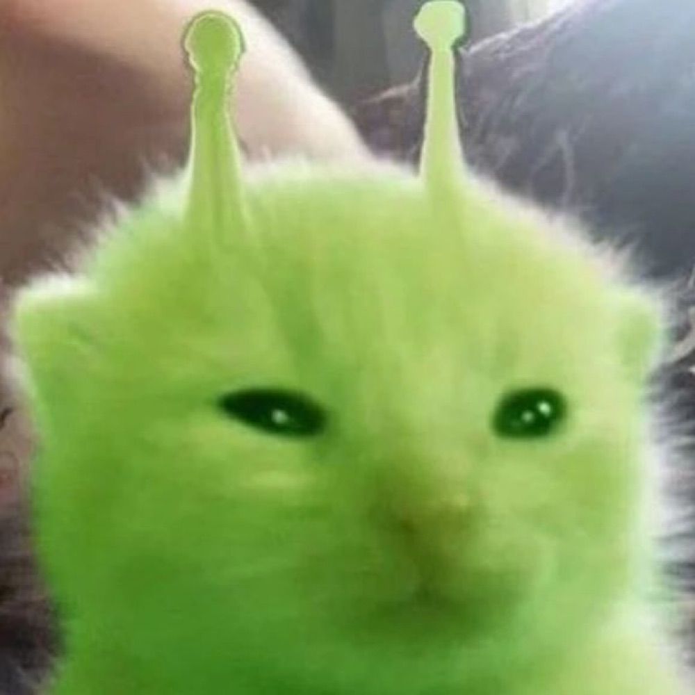 d*nny
