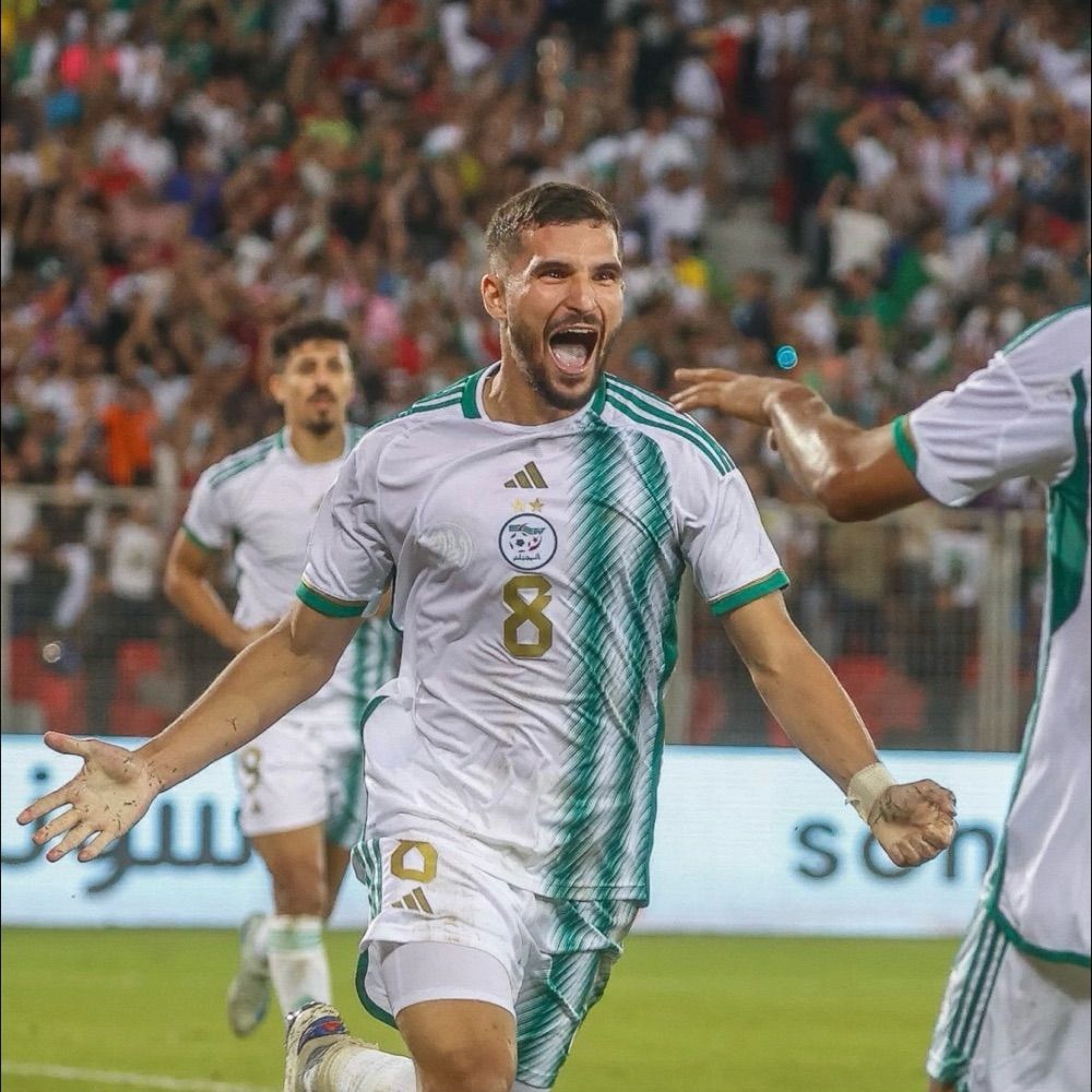 🇵🇸