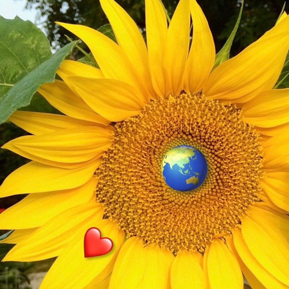 Jay🌻🕊️