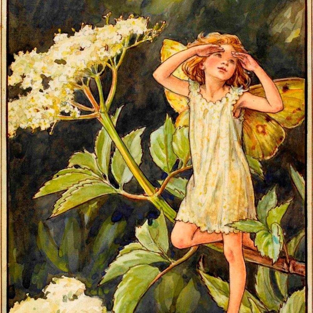 Nicole Telkes