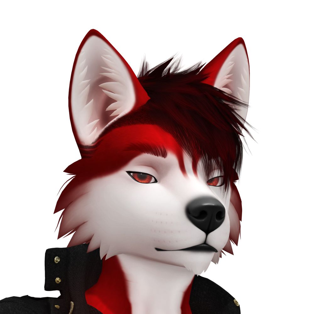 Donny The Husky