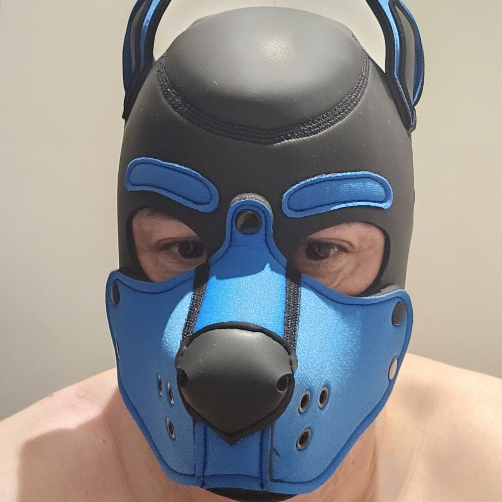 Pup Neo