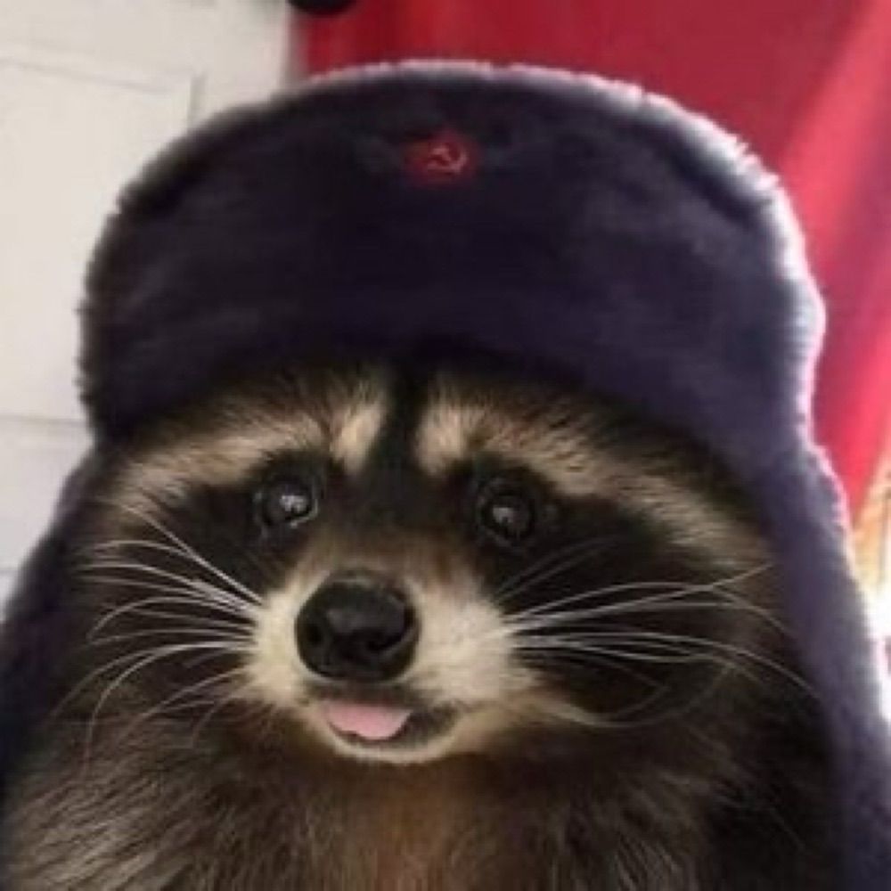 RedRacoon