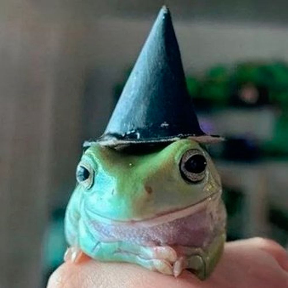 ᗰᗩGIᑕK🐸ᖴᖇOGGO