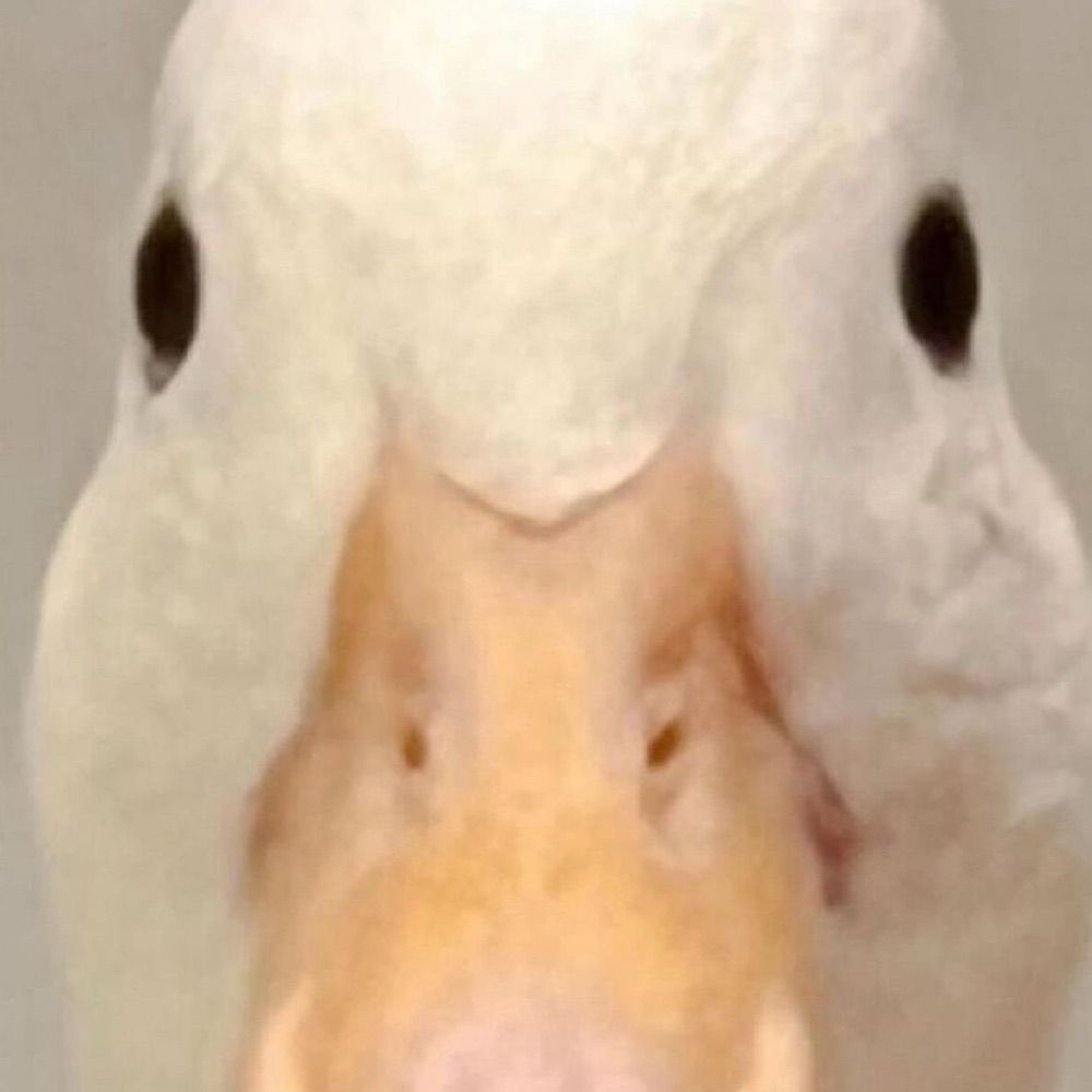 Groolix 