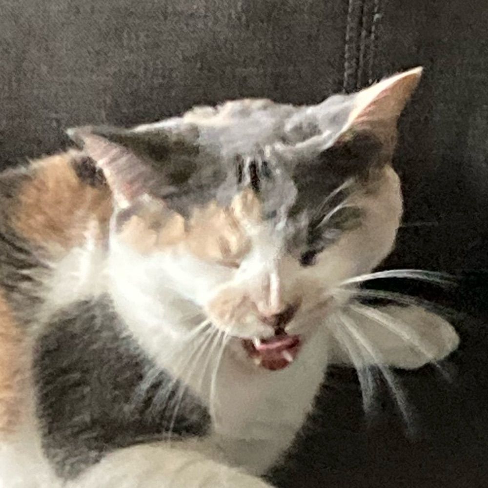 Bubbali