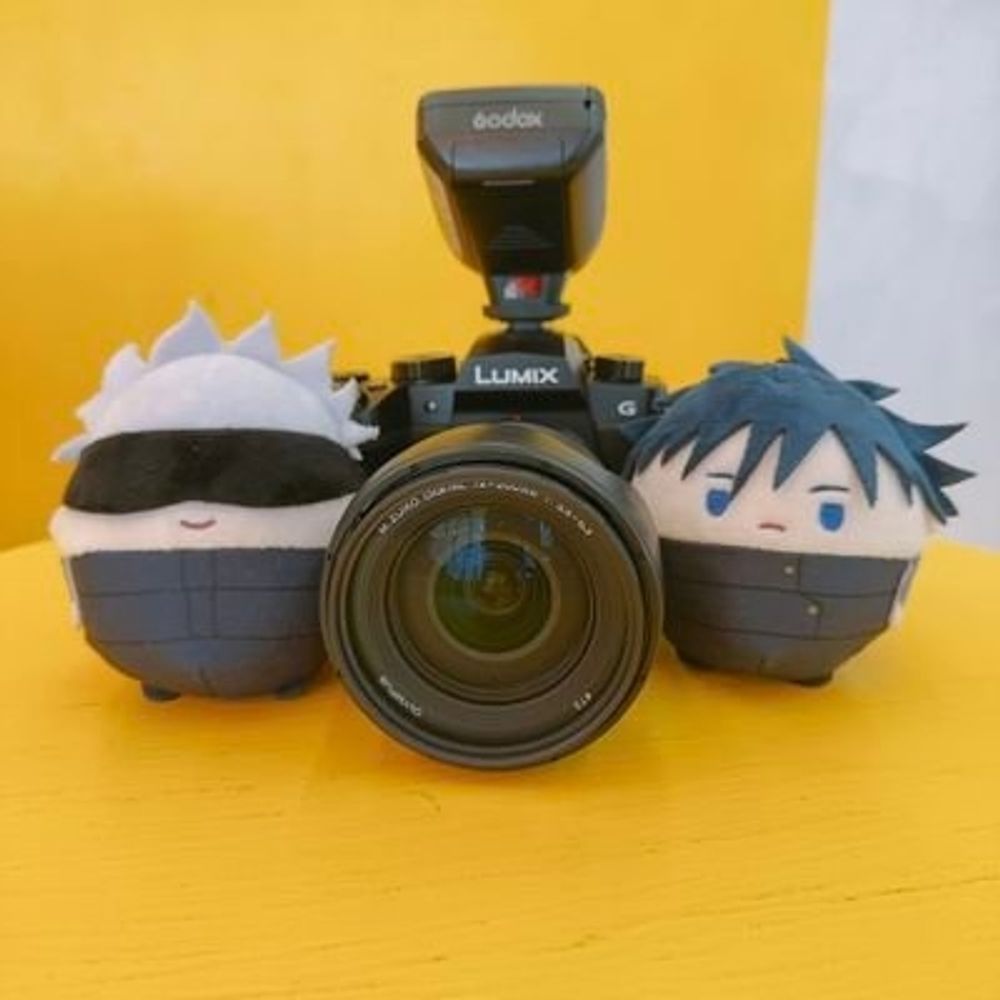 萌葱かの