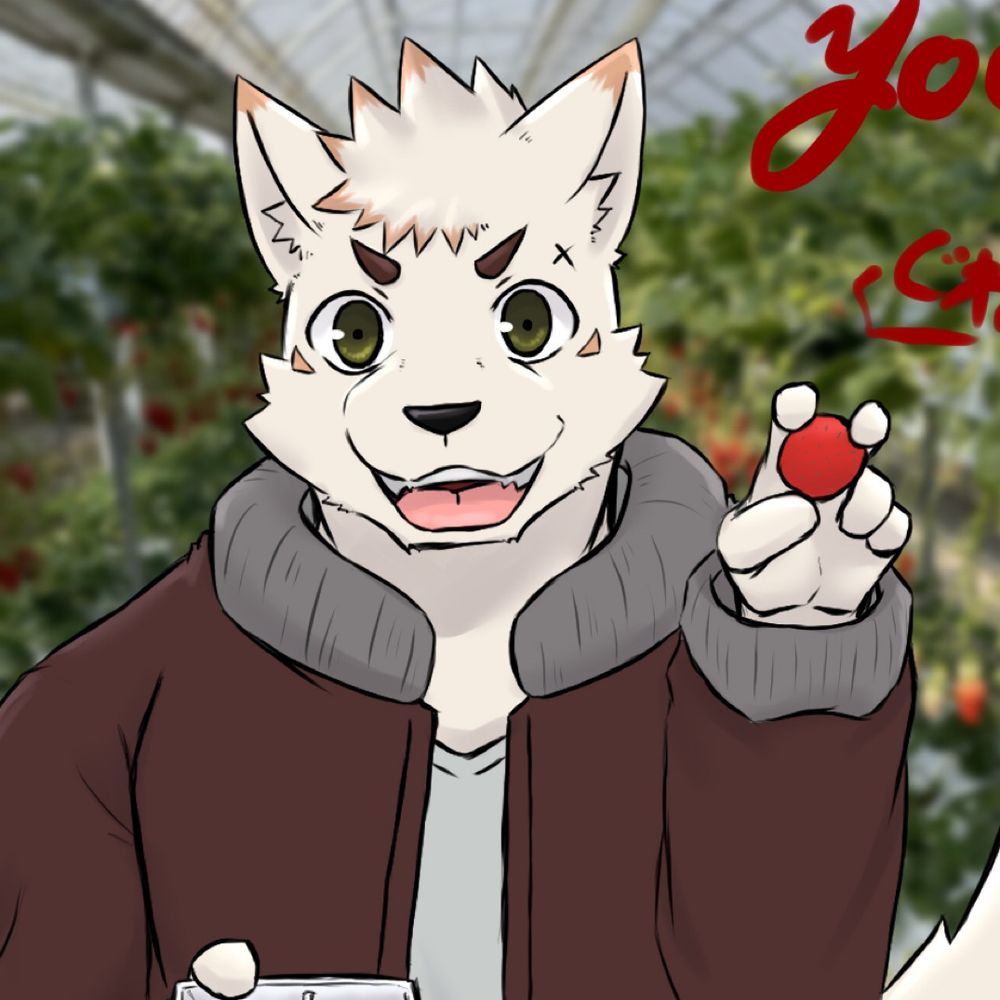 きさぐね