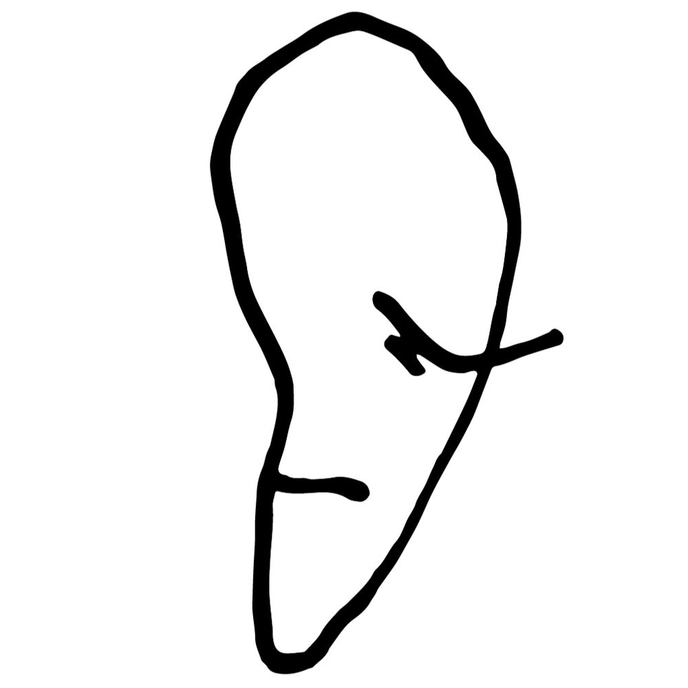 snekoden