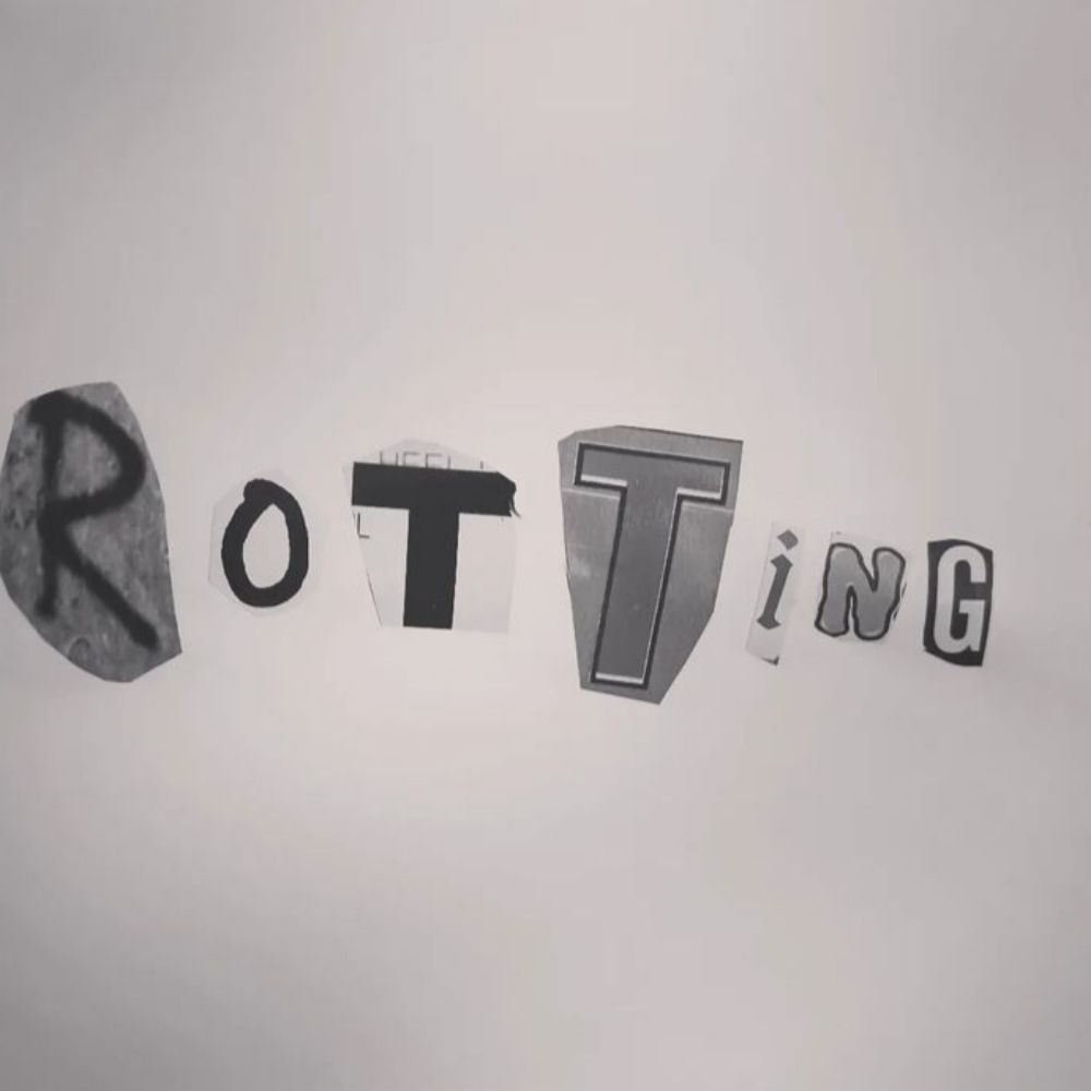 Rotting Polaroids