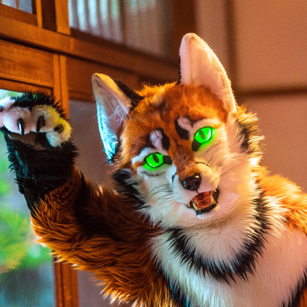Kochab The Fox