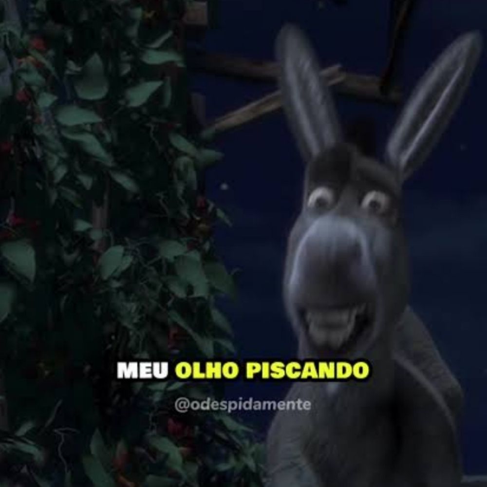 Is a Bella