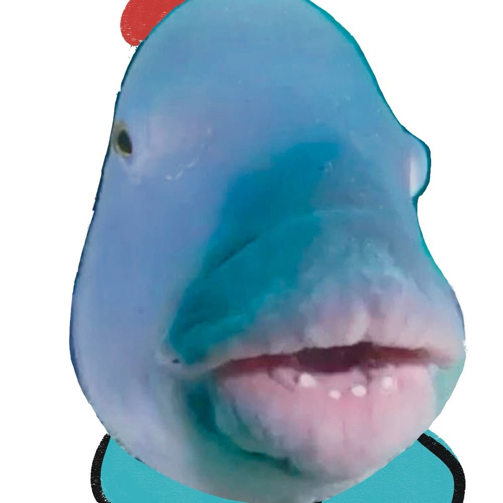 Yukisoupi