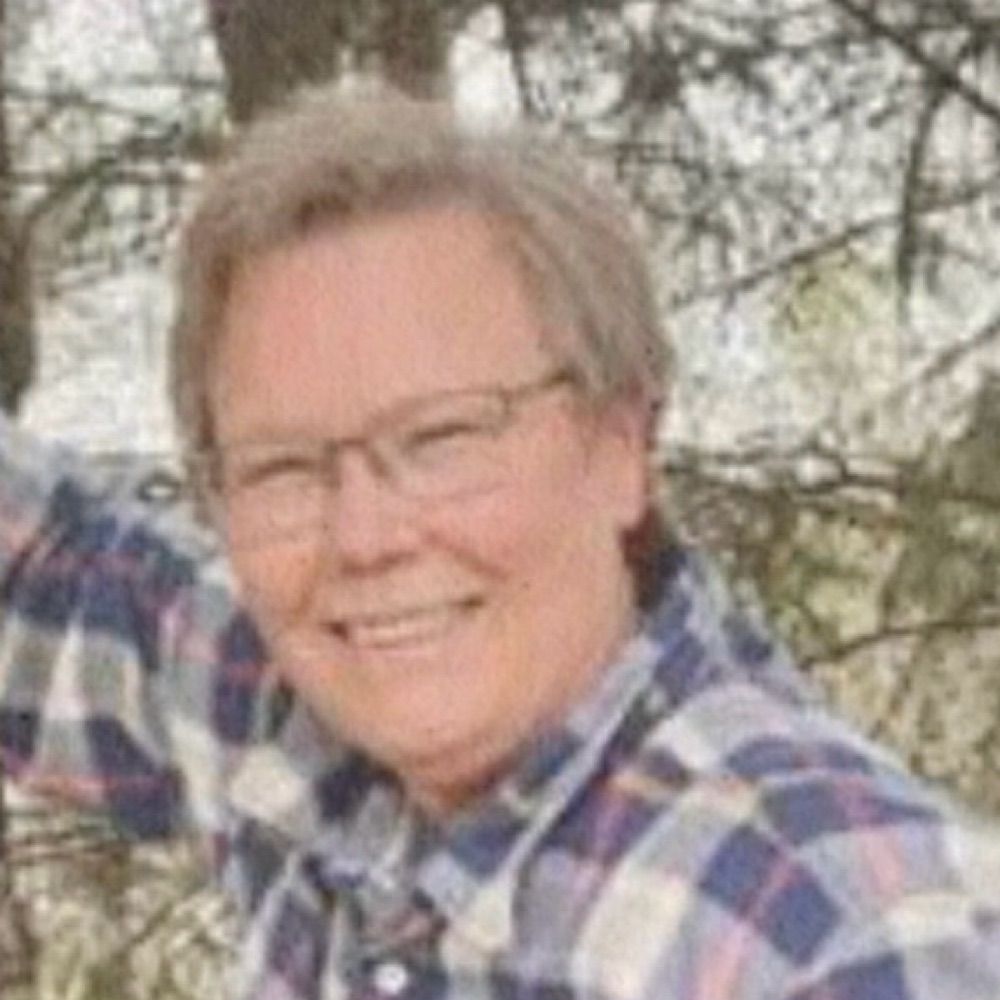 Chris Olson Bingea