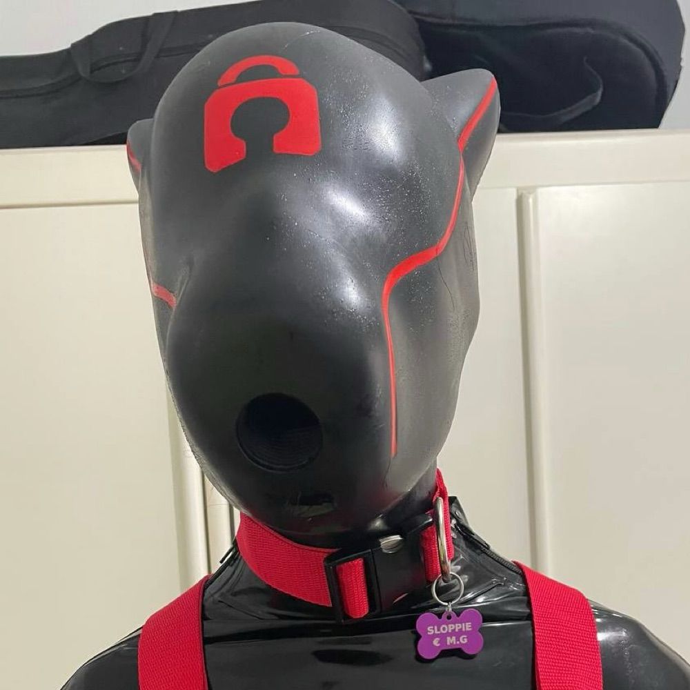Gimp Sloppie