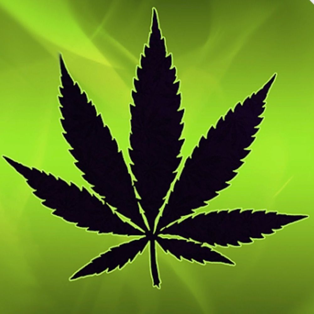 New green party ground zero Pennsylvania.  USA 2028 NOT REAL