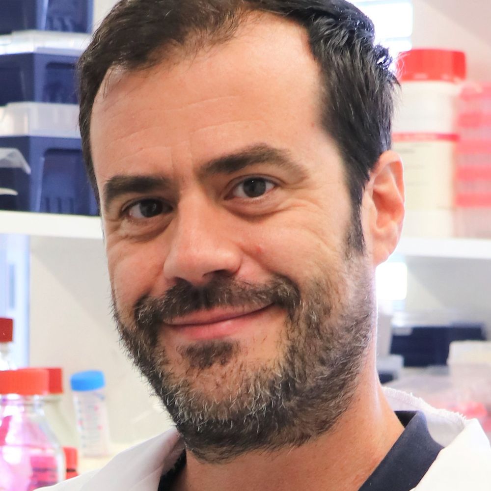 MaraverLab