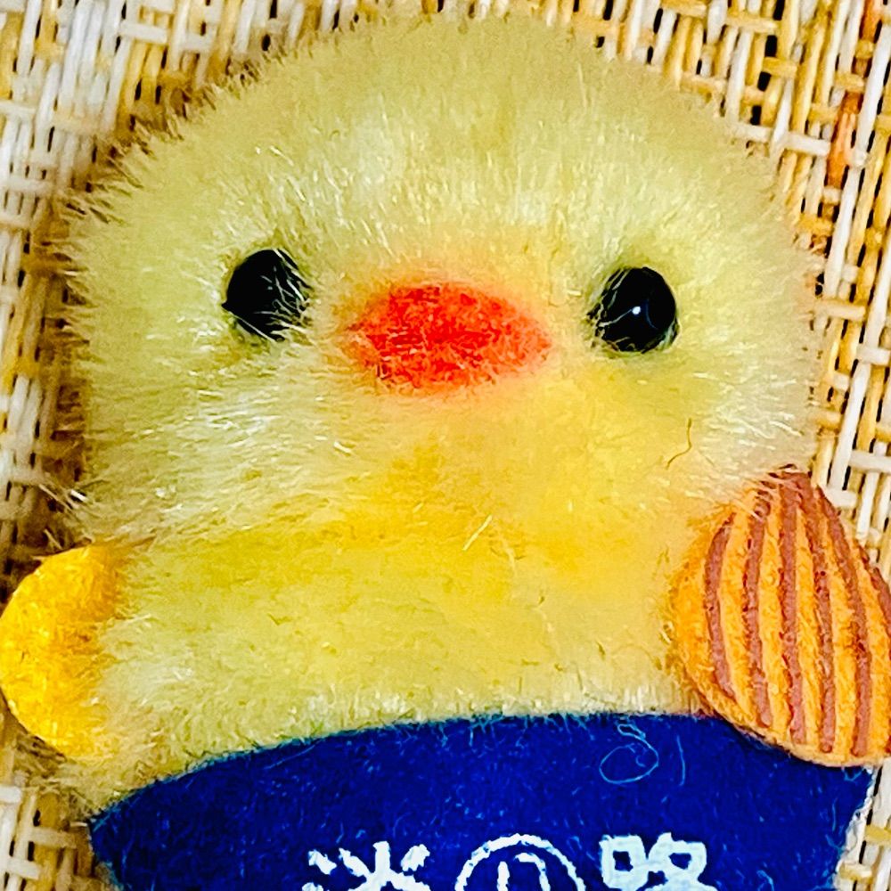 🐤👤