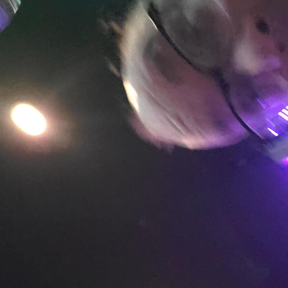 Matt