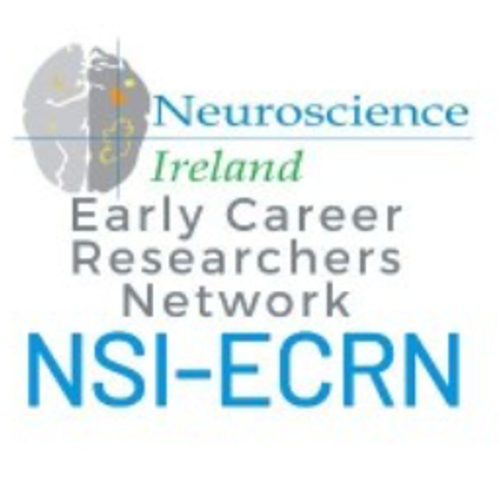 NSI Early Careers Research Network