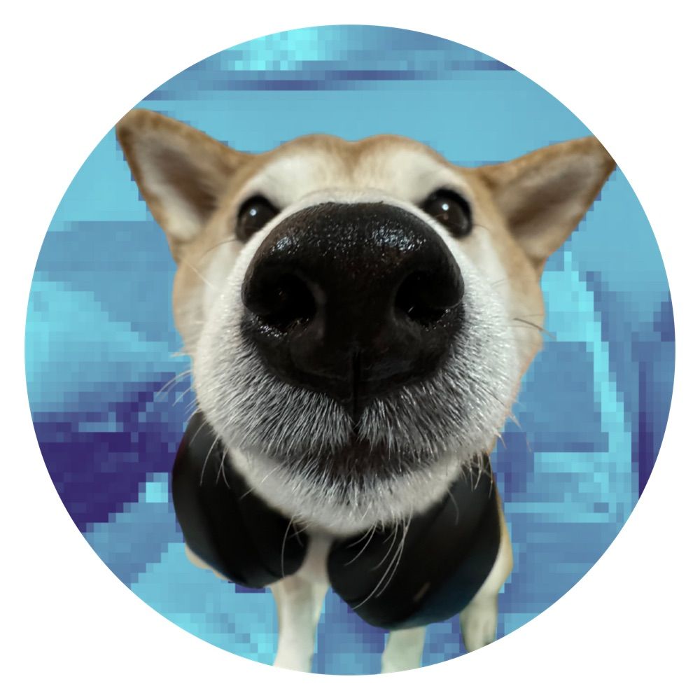 Eevee Bork