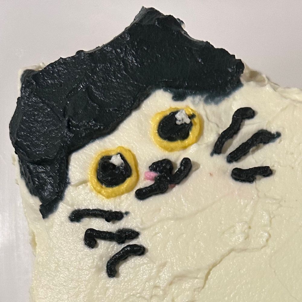 쨍