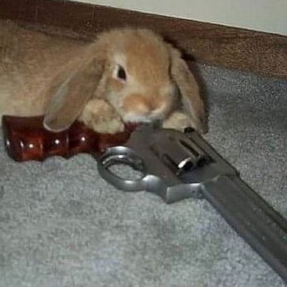 믛