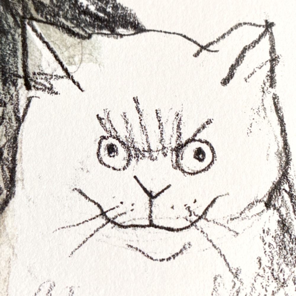 Isendrix