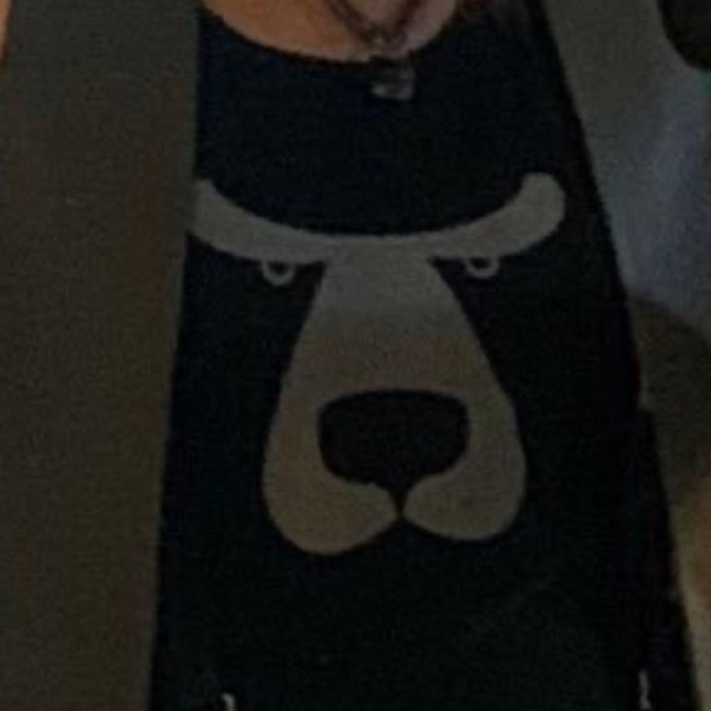 BearTheBear