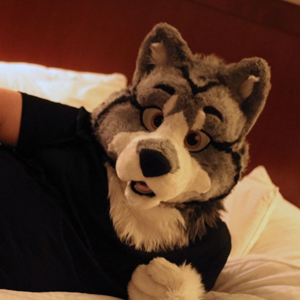 KnottyHusky : FCL then Orlando